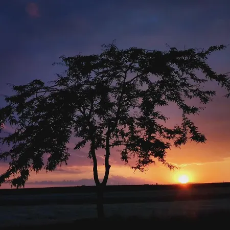 Resedinta Printeselor Ваду